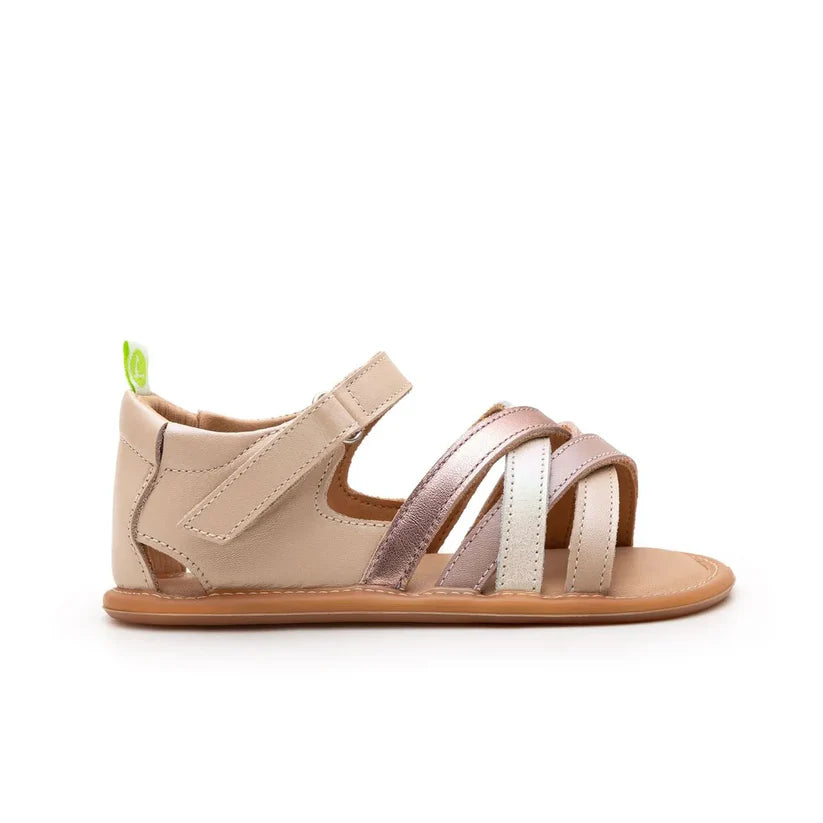 Tip Toey Joey - Sandálias Criss Cross Pink Dream